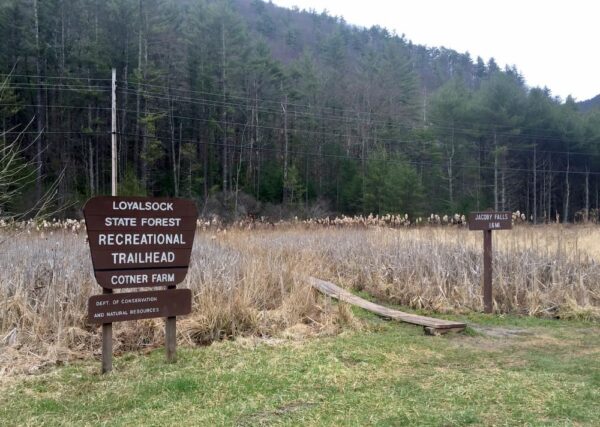 Parking for Jacoby Falls Trail