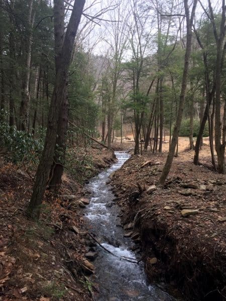 Hiking along Jacoby Hollow Run in Lycoming County, PA