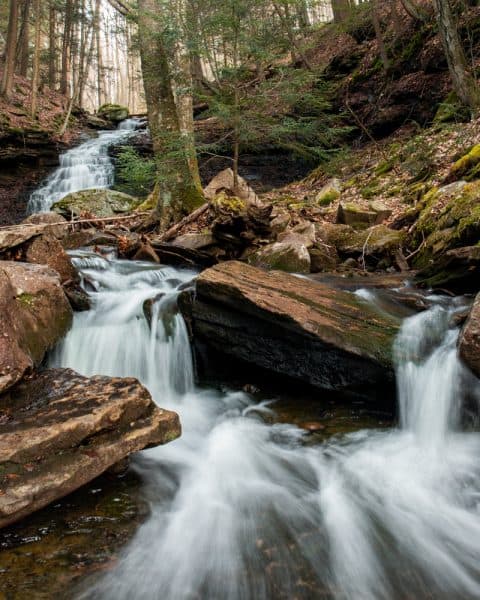 Mineral Springs Falls in Worlds End State Park