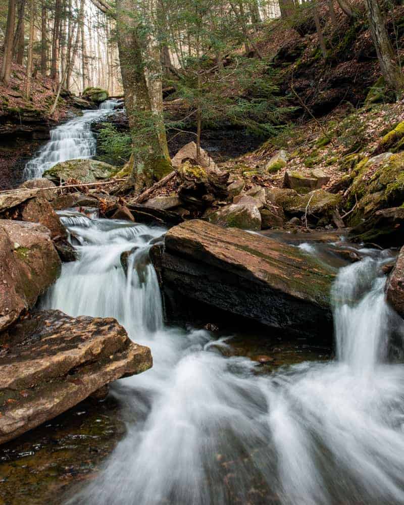 Campgrounds near worlds end hotsell state park