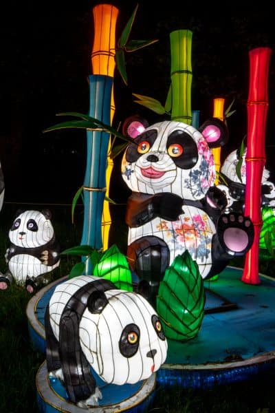 Panda lantern at the festival in philadelphia