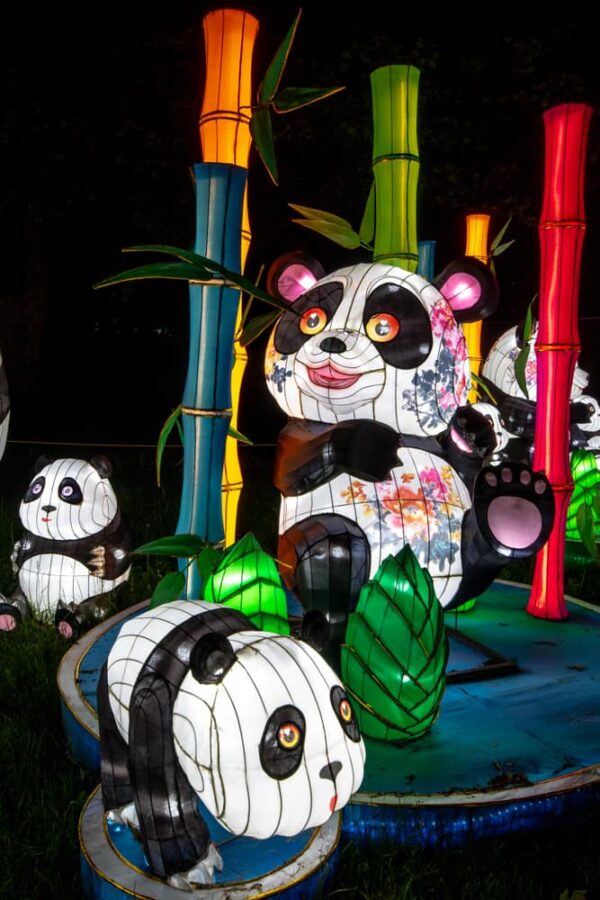 chinese lantern pittsburgh zoo