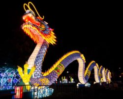 The Chinese Lantern Festival in Philadelphia: 13 Photos that Will Make You Want to Go