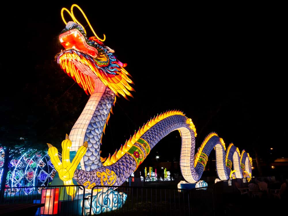 Dragon at the Chinese Lantern Festival in Philadelphia
