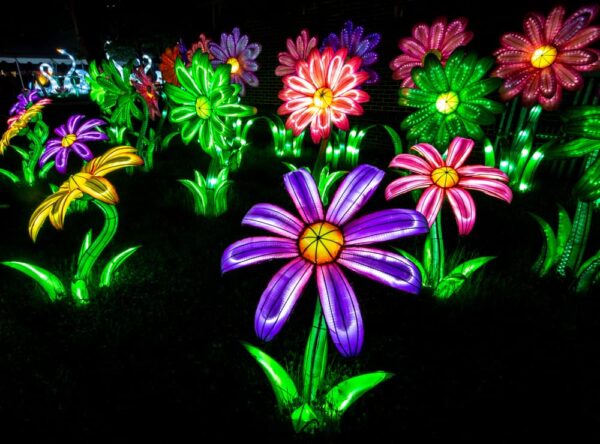 Flower Lanterns at the Philadelphia Chinese Lantern Festival