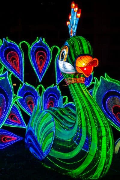 What to do at the Philadelphia Chinese Lantern Festival