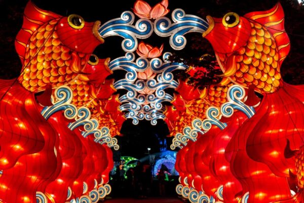 Fish lanterns at the Philly Chinese lantern Festival