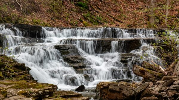 Waterfall on Quinn Run in State Game Lands 13