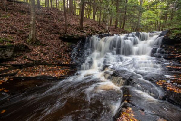 Rusty Falls in Loyalsock State Forest in Sullivan County PA