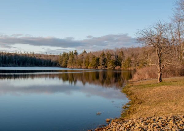 Sones Pond in Loyalsock State Forest