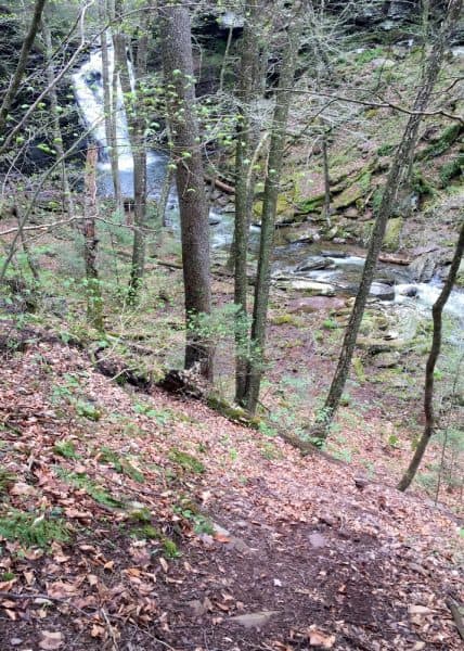 Trail to Big Falls near Jamison City, PA