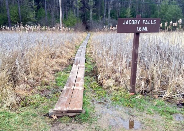 Trail to Jacoby Falls near Williamsport, PA