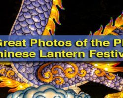 philadelphia chinese lantern festival discount code 2019