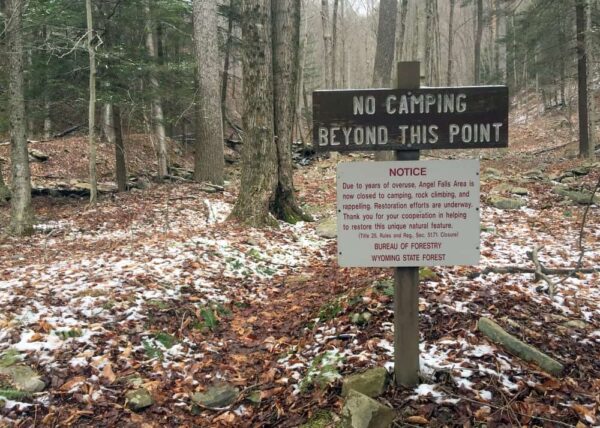 Hiking Trail to Angel Falls in Loyalsock State Forest