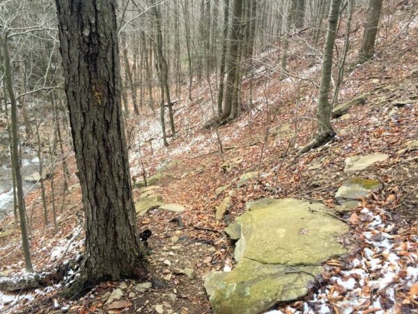 Loyalsock Trail to Angel Falls