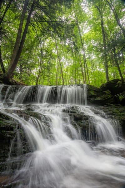 Allegheny National Forest Waterfalls: Logan Falls