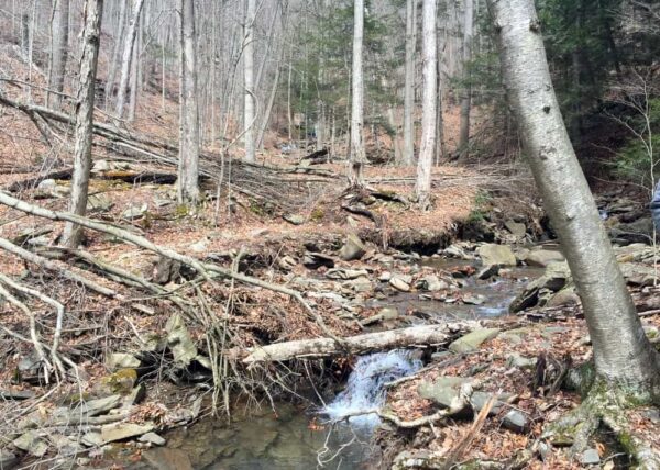 Trail to Angel Falls in Pennsylvania