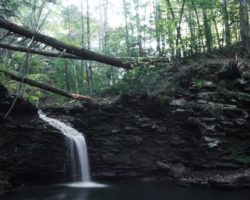 Pennsylvania Waterfalls: Hiking to Cottonwood Falls in Worlds End State Park