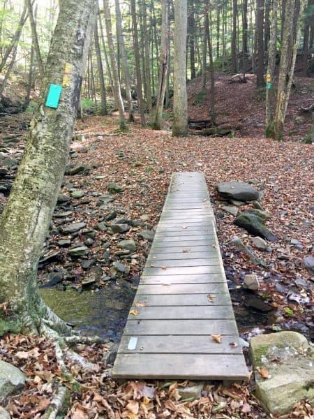 Hiking the Double Run Nature Trail in Sullivan County, PA
