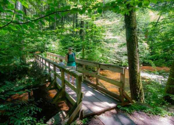 Hiking the Evergreen Trail in Ricketts Glen State Park