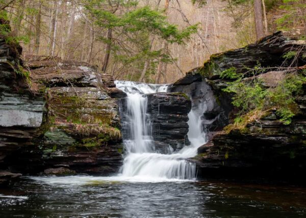 The Falls Trail at Ricketts Glen State Park is one of the best things to do in Wilkes-Barre, PA