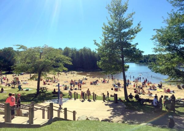 Beach at Ricketts Glen State Park in Pennsylvania