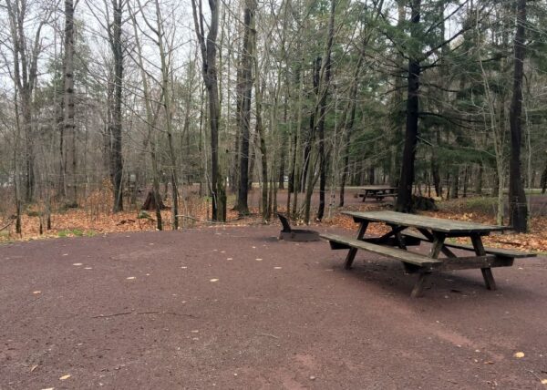 Campsite at Ricketts Glen State Park in northeastern Pennsylvania