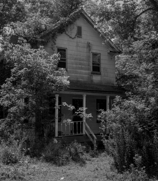 A home being reclaimed by nature in Yellow Dog Village