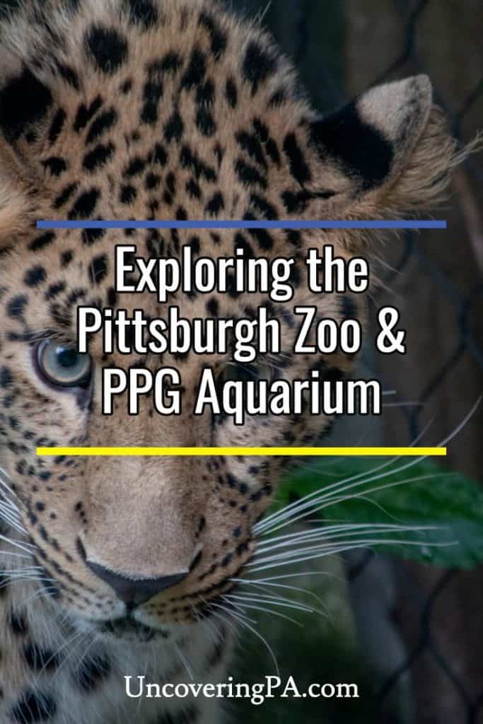 pittsburgh zoo & ppg aquarium