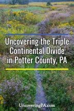 Triple Continental Divide in Potter County, Pennsylvania