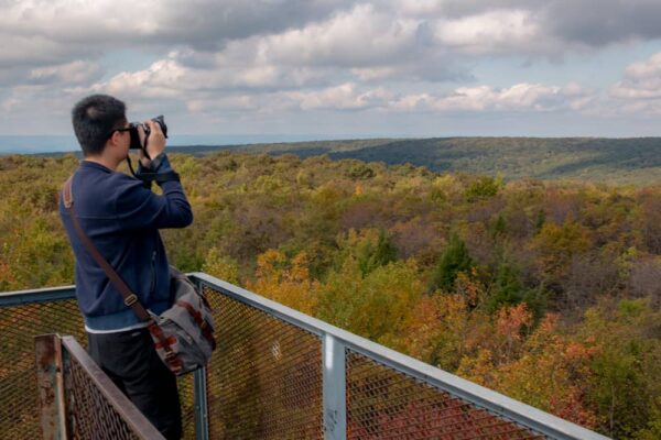 Fall foliage at PA's tallest point: Mount Davis