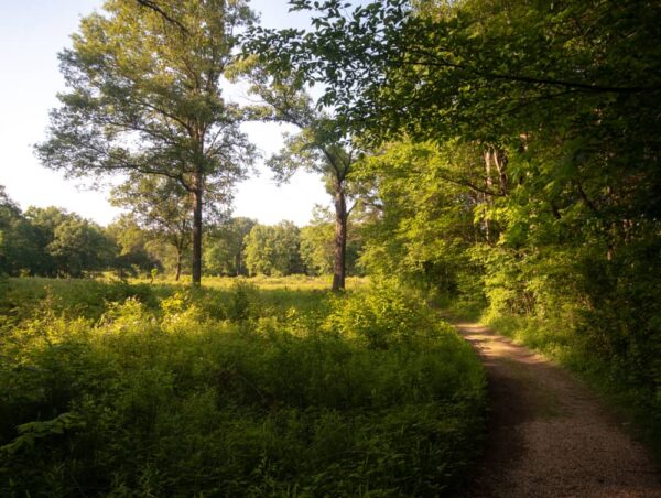 Prairie in Jennings Environmental Education Center