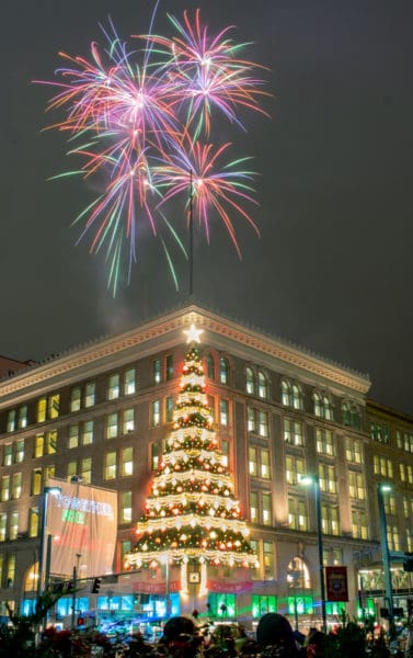 Horne's Tree Fireworks on Light Up Night in Pittsburgh, Pennsylvania