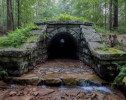 Hiking the Railroad Arch Trail in Buchanan State Forest to Amazing Ruins