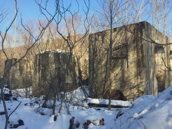 Ruins in state game lands in Dauphin County, PA