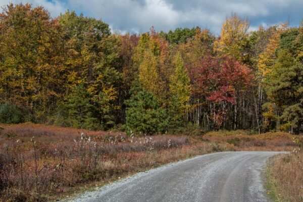 History of the Quehanna Wild Area in Pennsylvania