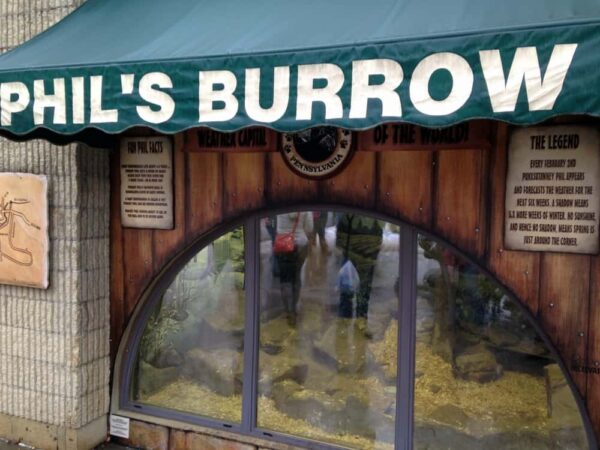 Phil's Burrow in Punxsutawney, PA