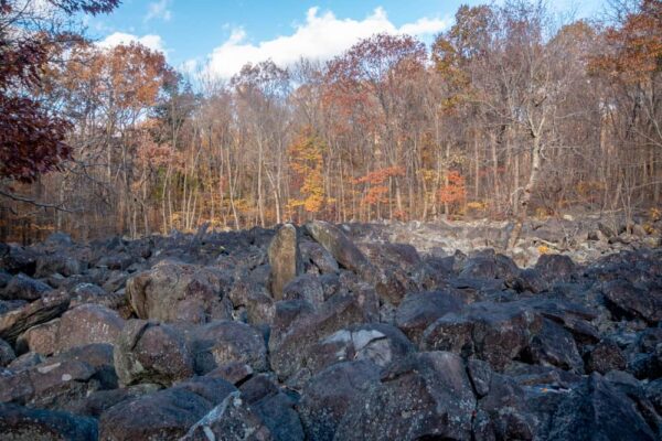 Stony Garden in State Game Lands 157