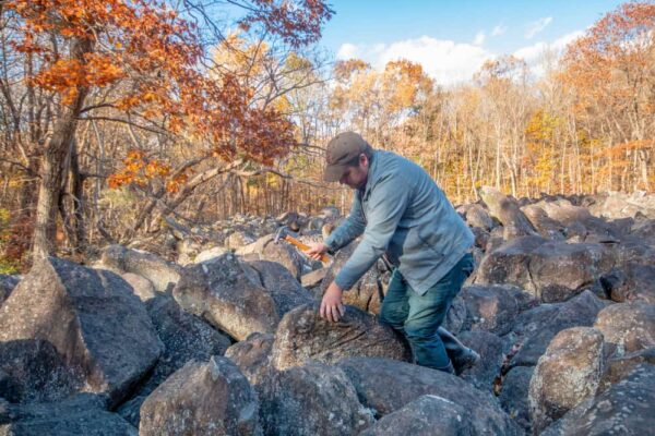 Exploring Stony Garden in State Game Lans 157 in Bucks County, Pennsylvania