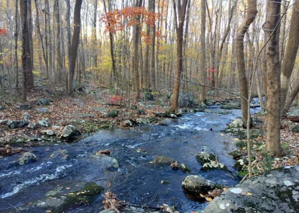 Stream crossing on the trail to Stony Garden in Bucks County, Pennsylvania