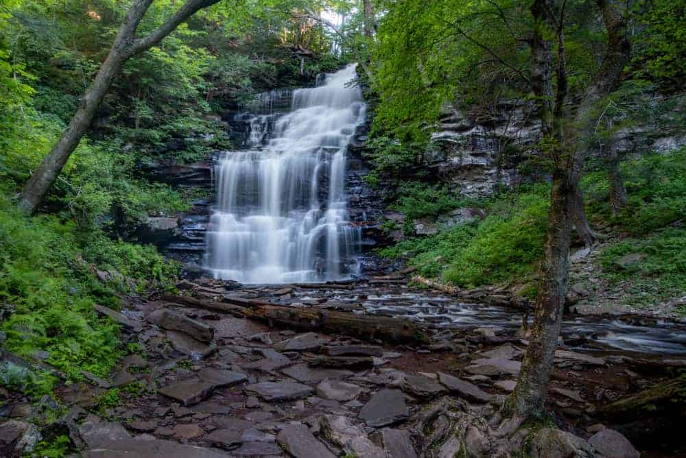 Falls Trail at Ricketts Glen State Park
