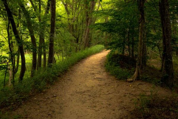 Neshaminy State Park är ett utmärkt ställe att vandra på i närheten av Philly