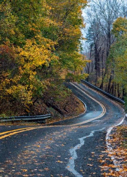Route 32 in Bucks County is an amazing spot to drive during the fall.