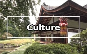 Culture in the Great Lakes Region