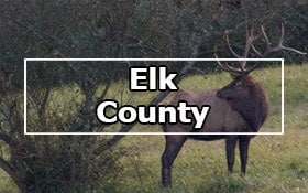 Things to do in Elk County, PA