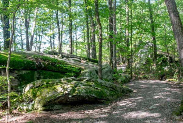 Trail to Beartown Rocks in Clear Creek State Forest