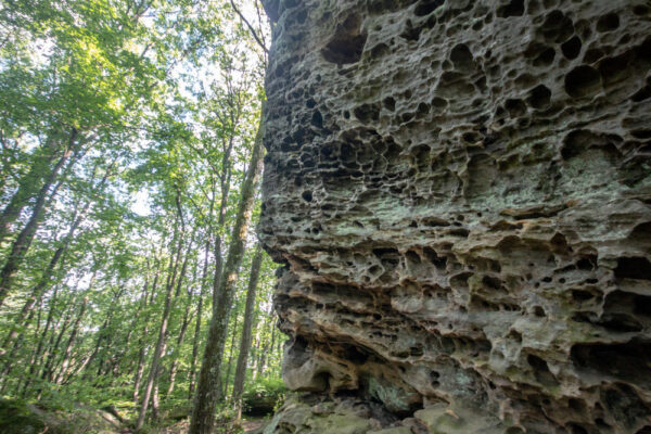 Close up of the rocks at Beartown Rocks in Clear Creek State Forest