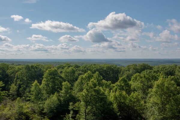 Overlook at Beartown Rocks near Clear Creek State Park