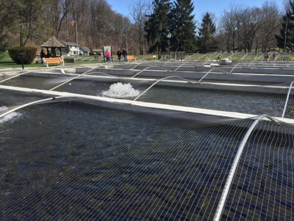 Li'l-Le-Hi Trout Nursery is a fun family thing to do in the Lehigh Valley