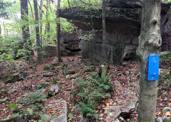 Canyon Vista Trail in Worlds End State Park